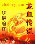龙血传说