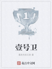 壹号卫